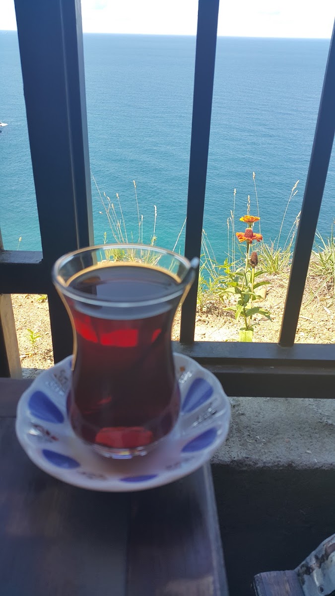 Pleasure-I Own Cafe Restaurant-9